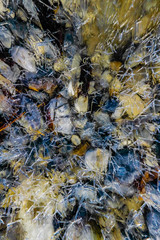 Running water under ice, Mosquito Creek.. Banff National Park.