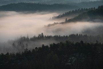 morning vibes in Saxon switzerland, saxony, germany