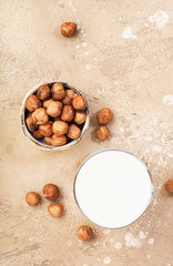 Vegan Hazelnut nut milk in bottles, closeup, beige table background. Non dairy alternative milk. Healthy vegetarian food and drink concept. Copy space, top view