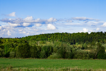 A beautiful summer lanscape with a meadow, a forest and a blue cloudy sky