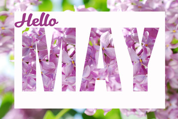 hello May background © teressa