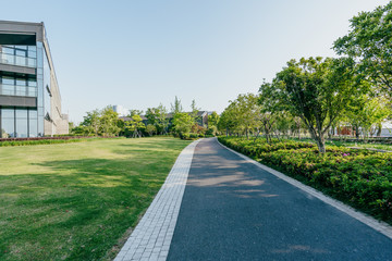 road in park