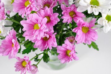 Bouquet of fresh purple chrysanthemums in a vase on a white table. Fresh camomile flowers close up.
