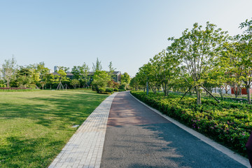 road in park