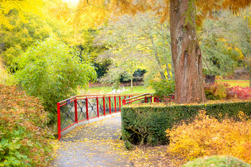 Fototapeta na wymiar Beautiful autumn park on the grounds of Leeds castke