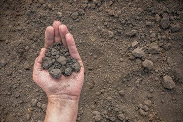 Male hand with a handful of earth on a background of soil, top view. Agriculture, Agriculture, horticulture concept with free text space.