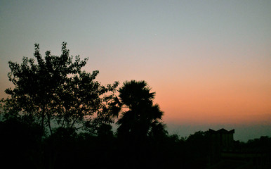 a evening during sunset with tress in the foreground