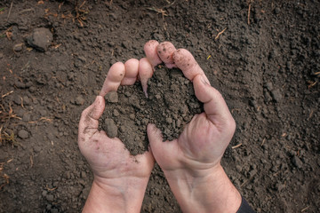 Male, farm hands with the earth on the background of soil, black soil. View from above. Agriculture, gardening.