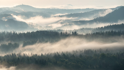 morning vibes in Saxon switzerland, saxony, germany