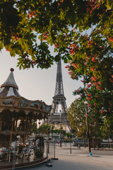 Blossom Paris beautiful morning flowers