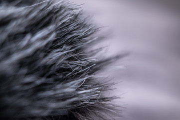 Fur texture of fox, silver color close-up background. Silver fox fur coat texture background.