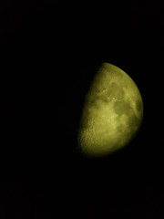 Luna © Steve Fossiant