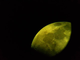 Luna © Steve Fossiant