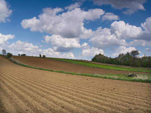 Wiosna - zaorane pole - prace polowe