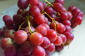 frutas del tiempo