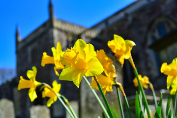 Flowers at a graveyard