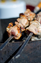 meat is fried on the grill-shish kebab