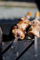 meat is fried on the grill-shish kebab