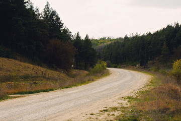 spring, nature and the country road