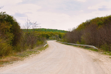 spring, nature and the country road