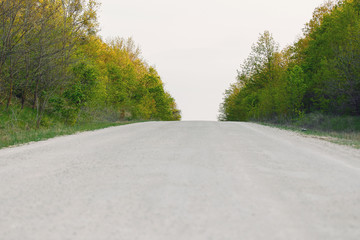 Fototapeta premium Spring, nature and the country road
