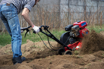 Fototapeta na wymiar Man working in the garden with garden tiller. tractor cultivating and loosens soil field