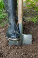 Foot in rubber boot on the metal spade