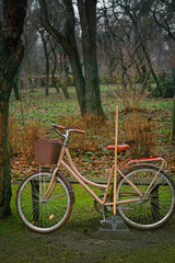 Fototapeta premium Old bike and brooms. Retro styled image with a bicycle and garden tools