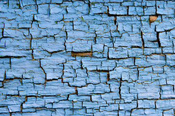 The texture of the old painted wall is covered with cracks and roughness close-up.