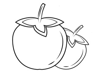 Persimmon outline vector icon. Thin line black kaki fruit icon. Persimmon symbol. A flat vector simple element of sharon. Vector