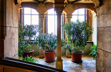 Containers of plants from the garden in Wernigerode Castle.