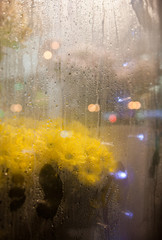 Flowers and light garlands behind the glass