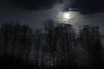 Fototapeta premium Reflection of trees and sun in dark river water. Abstract blurry dark river water reflection of the bare trees