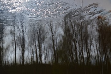 Reflection of trees in dark river water. Abstract blurry dark river water reflection of the bare trees