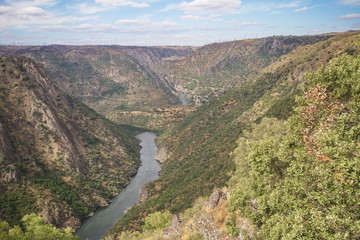 Fototapeta na wymiar Arribes del Duero, Salamanca/Spain; Aug. 06, 2013. Los Arribes del Duero is a privileged natural space where the rugged beauty of its granite landscape and a rich and varied fauna and flora stand out.