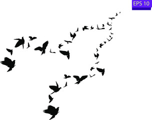 Flock of flying birds. Transparent background. silhouette of flying birds. Black vector flying birds flock silhouette. EPS 10