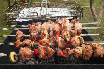 Meat Shish kebab with vegetable and onion outdoors