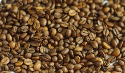 Coffee Beans texture background. Close up view.