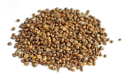 Coffee Beans isolated on white background. Close up view.