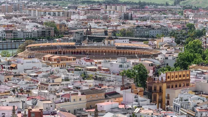 Fotobehang Stierenvechten the bullfight arena from above. aerial view of the bullfight arena in seville. andalucia, spain.  © marinzolich