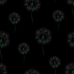 Seamless pattern with dandelions on a black background. For wrapping paper, textiles, Wallpaper, pillow prints, bedding, clothing, underwear, postcards
