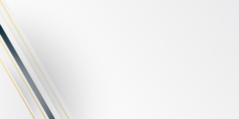 Obraz premium Grey silver abstract luxury background with bronze outlines. Modern abstract light silver background vector. Elegant concept design with golden line.