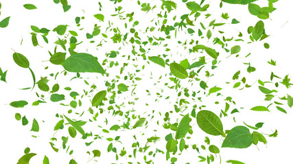 Green Flying leaves leaf 3D illustration background.