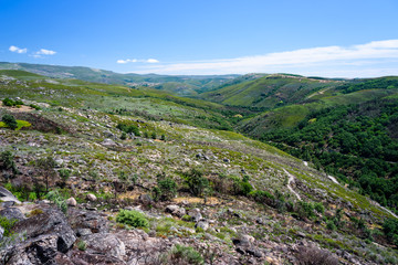 Fototapeta na wymiar landscape of montesinho. Natural Park of Montesinho during summer Portugal.