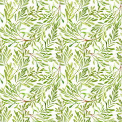 Naklejka na ściany i meble Watercolor tea tree leaves seamless pattern. Hand drawn illustration of Melaleuca. Green medicinal plant isolated on white background. Herbs for cosmetics, package, textile, cards, decoration.