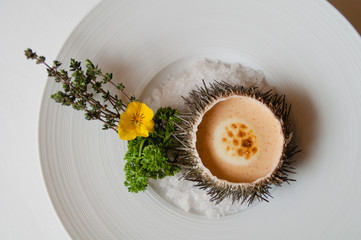 Delicioso erizo de mar gratinado y presentado con una decoración minimalista. Plano cenital y fondo blanco.