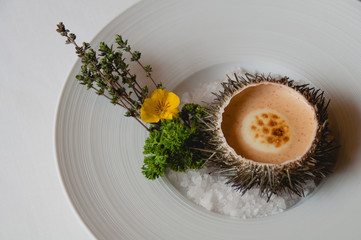 Delicioso erizo de mar gratinado y presentado con una decoración minimalista. Fondo blanco.