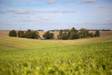 green field stretching to the horizon against the blue sky