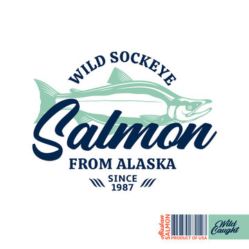 Vector sockeye salmon logo. Salmon label with sample text. Fish illustration. Vector seafood logotype design