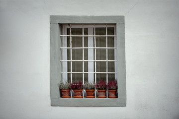 Vintage scene of window with flowers in Bled castle, one of the oldest historic monuments in Slovenia. Was built in 1004.